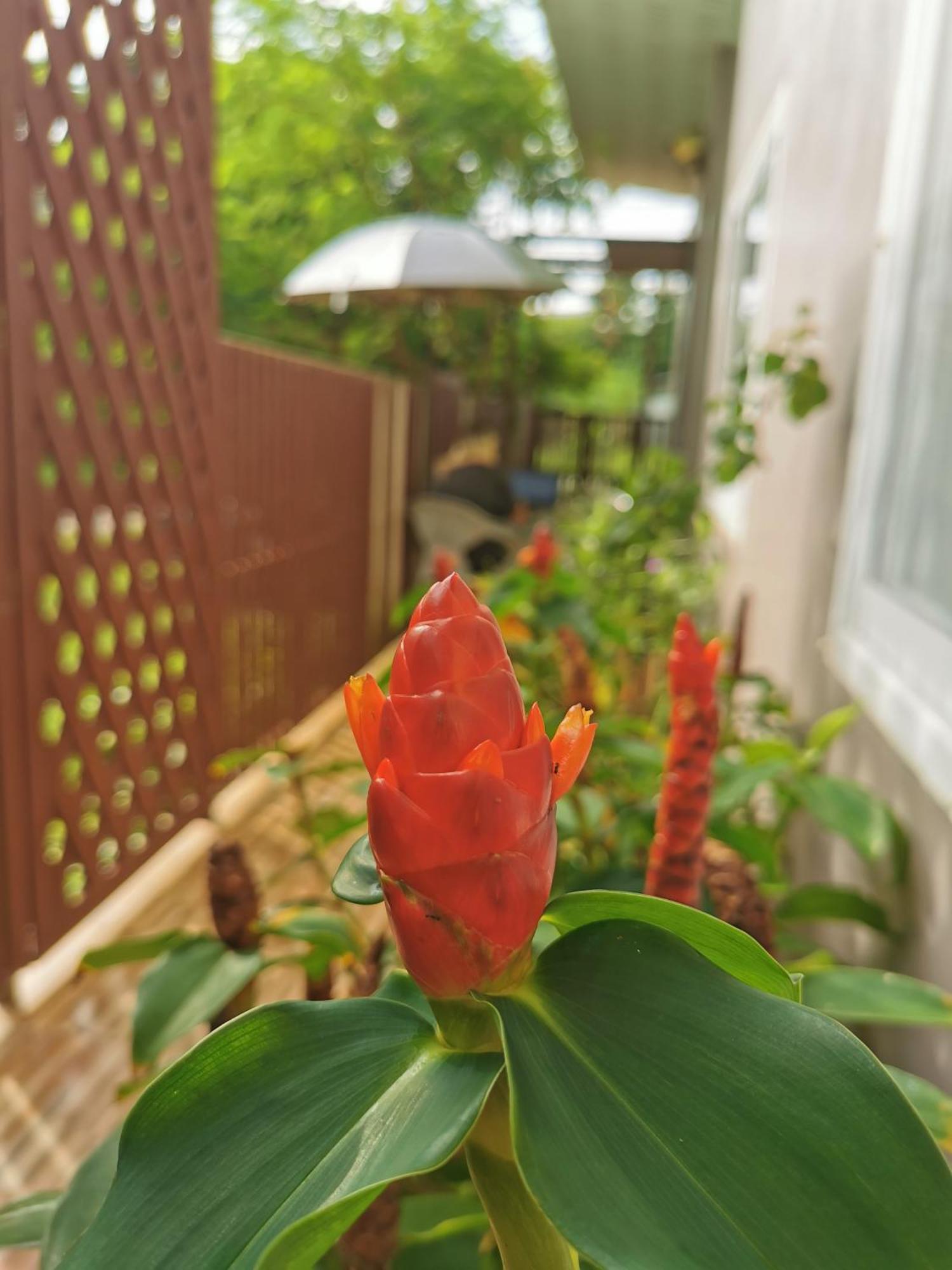 De​ Lanta Place Ko Lanta Dış mekan fotoğraf