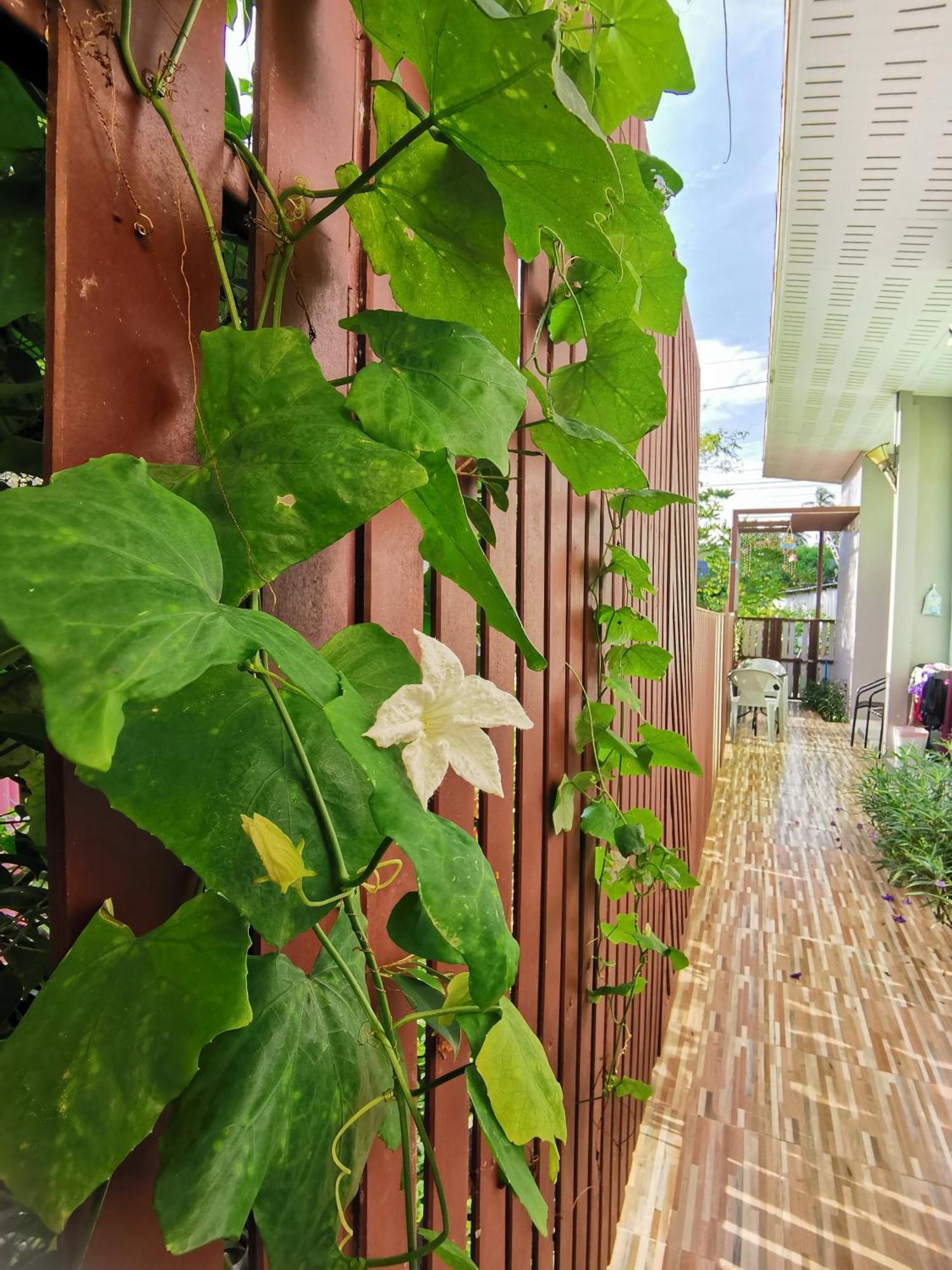De​ Lanta Place Ko Lanta Oda fotoğraf